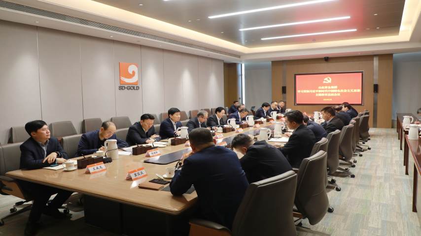 ylzzcom永利总站线路检测召开学习贯彻习近平新时代中国特色社会主义思想主题教育总结会议